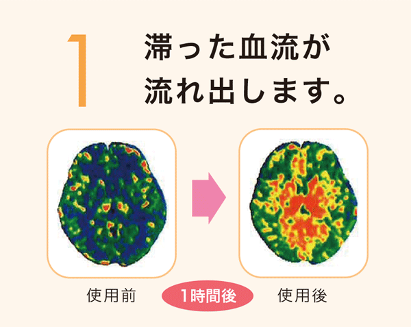 ブレイン・パワー・トレーナー | JOYコミュニケーションズ株式会社