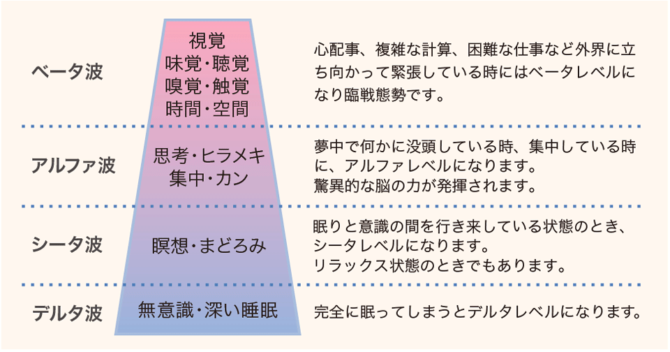 幸せなふたりに贈る結婚祝い 美品 ブレインパワートレーナー BRAIN